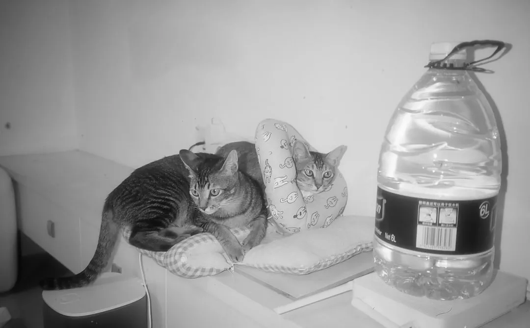 高层建筑外墙装饰选真石漆还是水包水？好涂帮技术解读